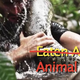 Image for article titled Why The Discovery Channel's "Eaten Alive" Stunt Could Kill An Ananconda